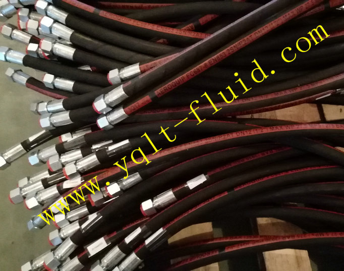 GH793 二层胶管皇冠2SN系列